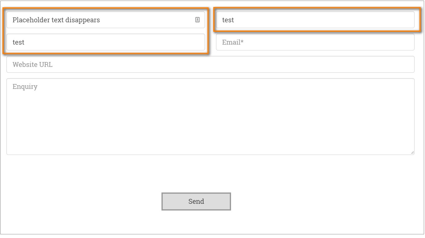 Form field with disappearing placeholder text