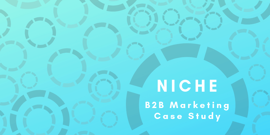 Niche B2B marketing strategy