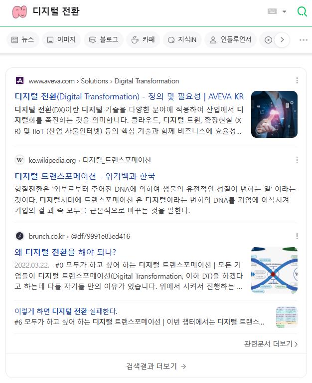 Naver SERP - Organic results section