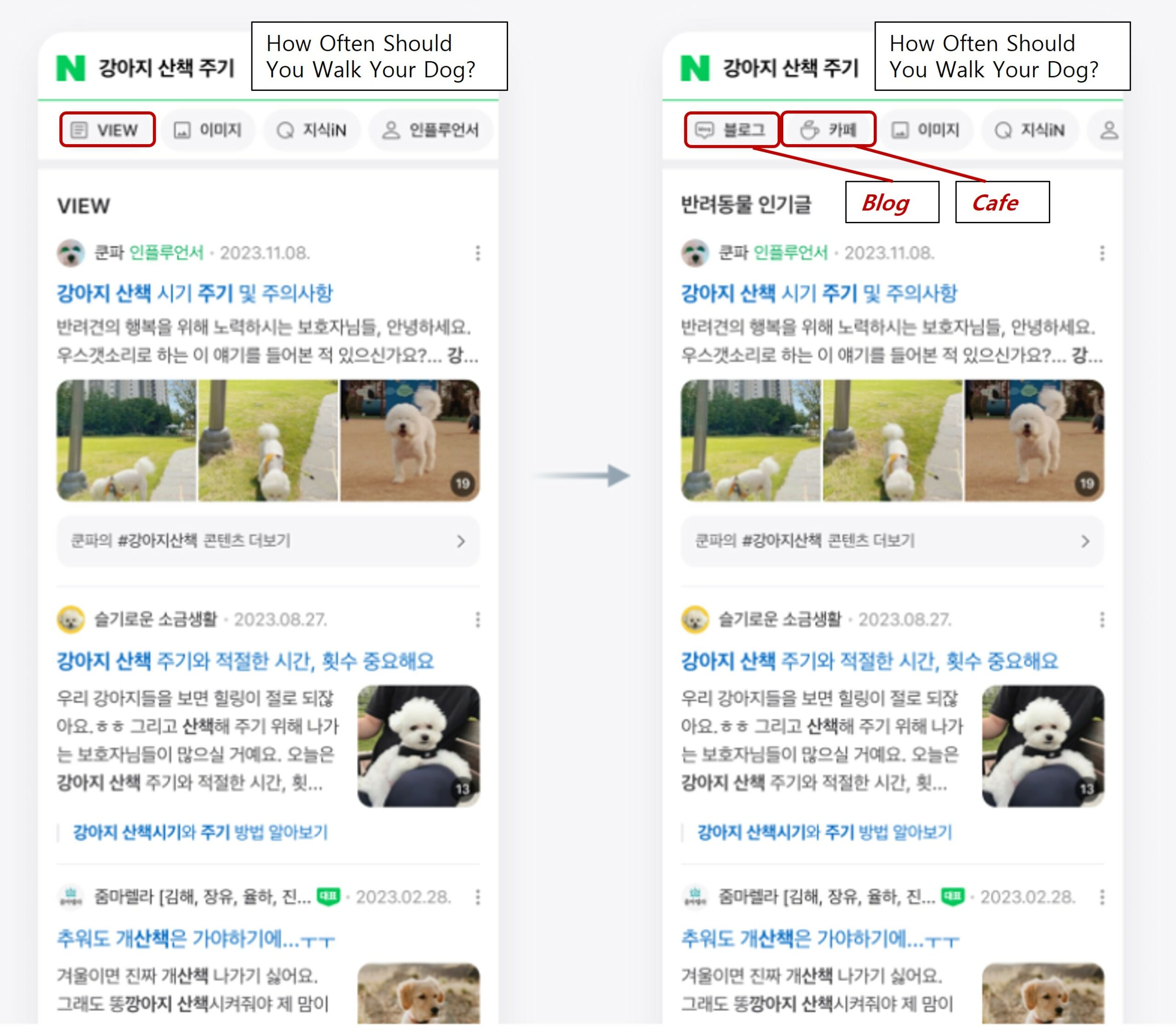 Naver VIEW switches to the blog and cafe tabs