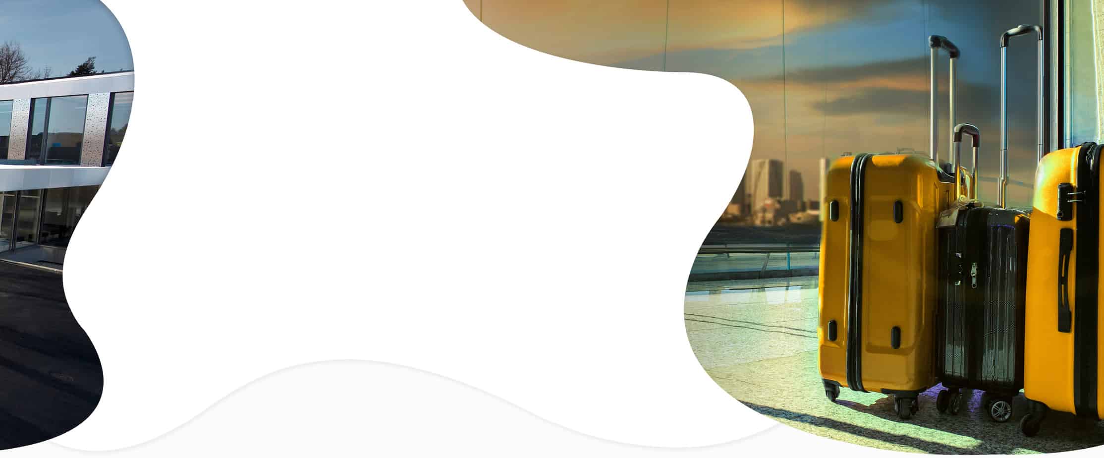 The Egg | Digital Marketing Agency | SEO, SEM, Social, Display